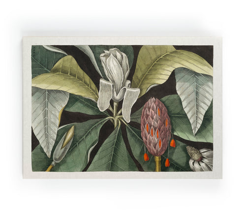 Canvas 60x40 Afdruk Paraplu Boom