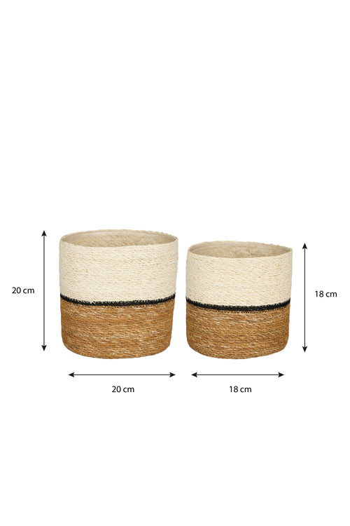 Mica Decorations Damian Plantenmand - Set van 2 - H20 x Ø20 cm - Zeegras - Wit