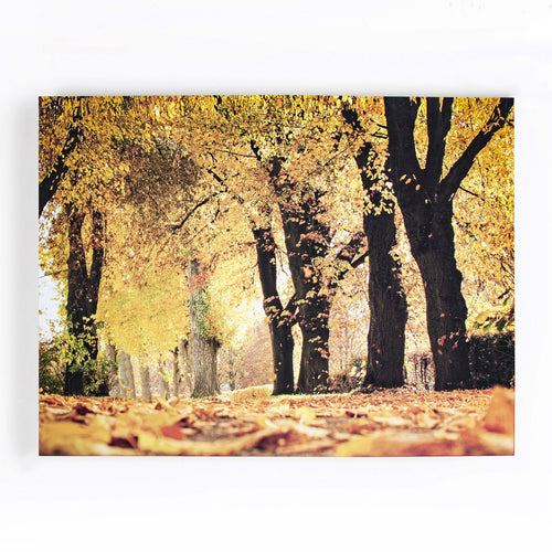 Art for the Home Canvas - Herfst - 75x100cm - vtwonen shop