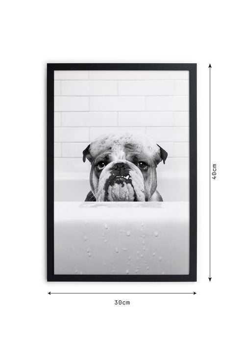 Zwarte lijst met kader 40x30 Bulldog in het bad - vtwonen shop