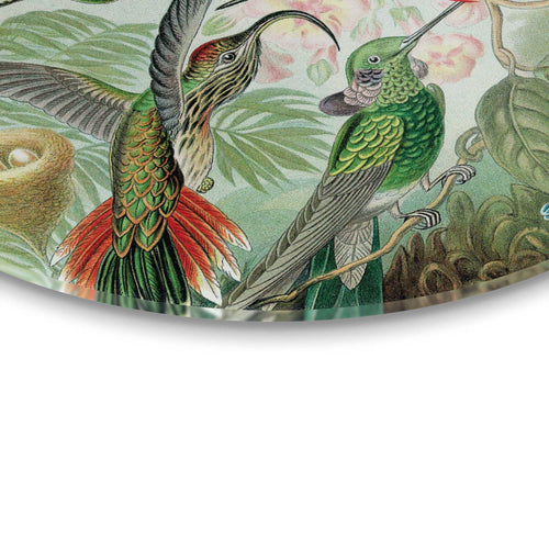 Reinders glasschilderij Hummingbirds - Ø 70cm