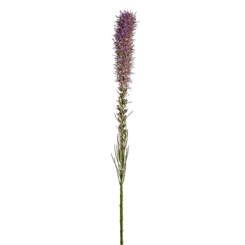 Sia Deco Liatris Kunstmatig - violet - H80 - vtwonen shop