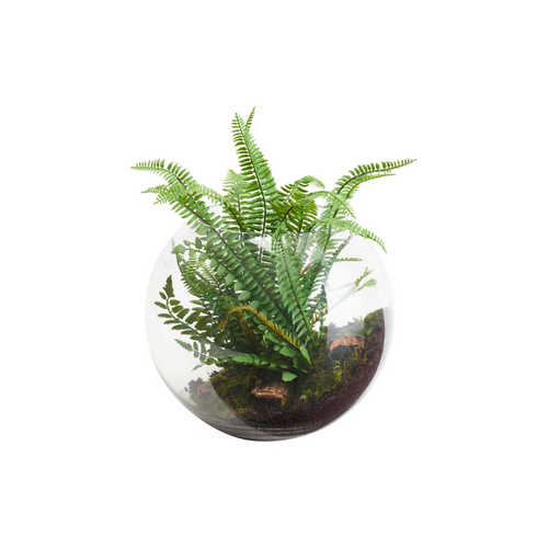 Sia Deco Terrarium Met Varen Kunstmatig - groen - L32 - vtwonen shop