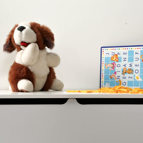 Calicosy - Opbergkist Kinderkamer - Wit - 40x99x43 cm