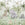Sanders & Sanders fotobehang jungle dieren meerkleurig - 318 x 275 cm - 640879
