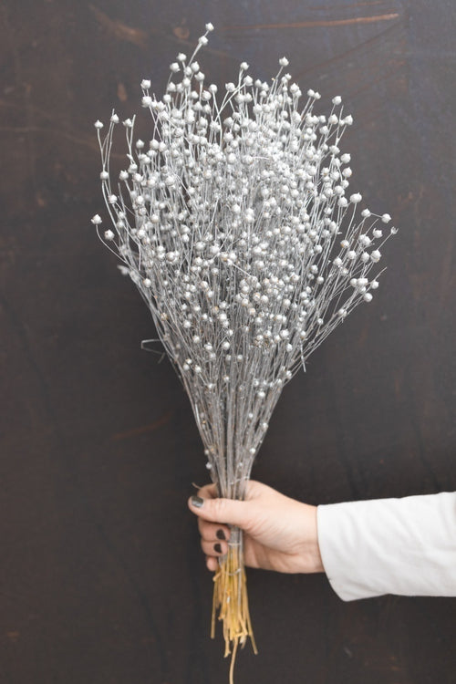 My Flowers.shop Zilverkleurig gedroogd vlas | Zilverkleurige Linum droogbloemen | Lengte ± 55 cm | Per bos - vtwonen shop