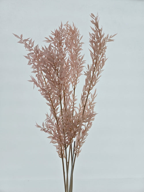 My Flowers.shop Lichtroze Ruscus droogbloemen | Lengte 65 centimeter | Per 5 takken - vtwonen shop