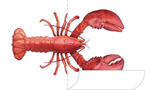 ESTAhome muursticker kreeft rood - 145 x 97 cm - 159042 - vtwonen shop