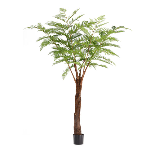 Maxifleur Woodwardia Kunstpalm Deluxe 220cm N