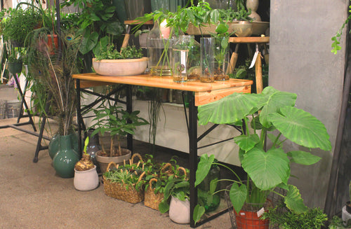 MaximaVida inklapbare picknicktafel Berlijn 120 x 50 cm 3-laags blanke lak - FSC hout