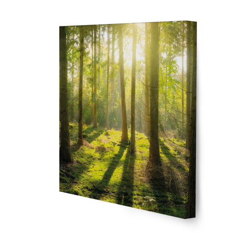 Art for the Home Canvas Set van 5 - Groene Stilte - 80x60cm - vtwonen shop
