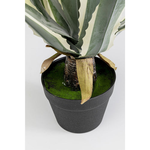 Kare Design Kunstplanten - agave - 50cm - vtwonen shop