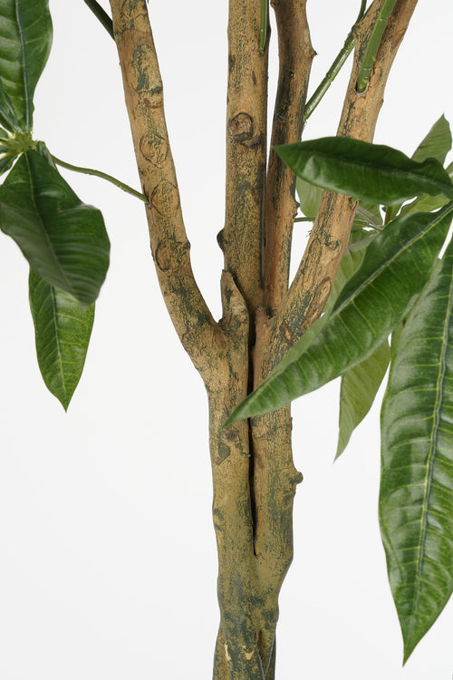 Mica Decorations Pachira Kunstplant - H120 x Ø50 cm - Groen