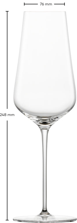 Zwiesel Glas Duo Champagneglas met MP 77 - 0.378 - Geschenkverpakking 2 glazen - vtwonen shop