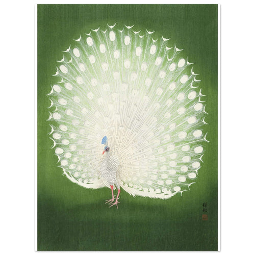 Artfulprints  Ohara Koson - Peacock   poster 30x40 cm - vtwonen shop