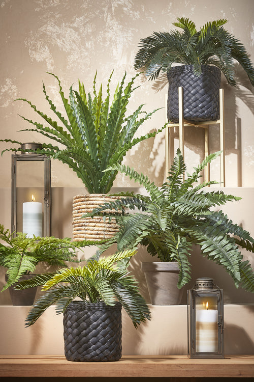 Mica Decorations Boston Varen Kunstplant in Bloempot Stan - H42 x Ø50 cm - Groen