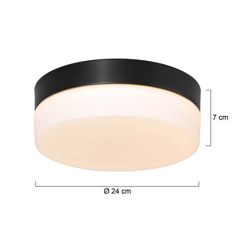 Steinhauer plafondlamp Ikaro - 1 lichts - 24x 7 cm - zwart - vtwonen shop