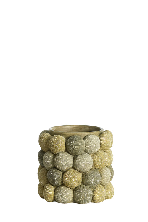 Light & Living vaas SEA URCHIN - Ø20.5x18cm - groen - vtwonen shop