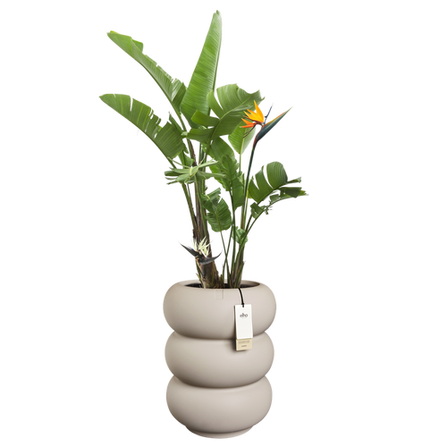 elho amber roll high 43 balanced beige | Bloempot |Premium statementdesign