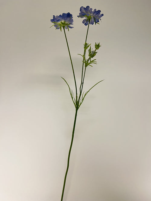 My Flowers.shop Blauwe scabiosa zijden bloem | Lengte 80 centimeter | Per stuk - vtwonen shop