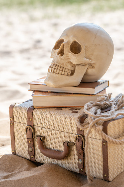 J-Line decoratie Schedel - polyresin - beige - small - vtwonen shop