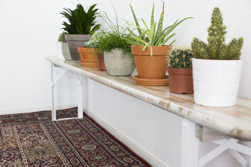 MaximaVida inklapbare picknickbank Berlijn 120 x 25 cm whitewash - FSC hout