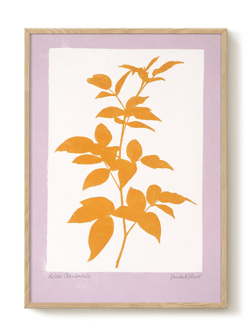 PrintedPlant - Rubus - PSTR studio Kunst Poster - vtwonen shop