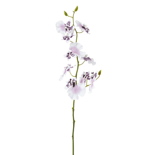 Sia Deco Kunstmatige Oncidium Orchidee Stengel - Wit En Mauve - H58 - vtwonen shop