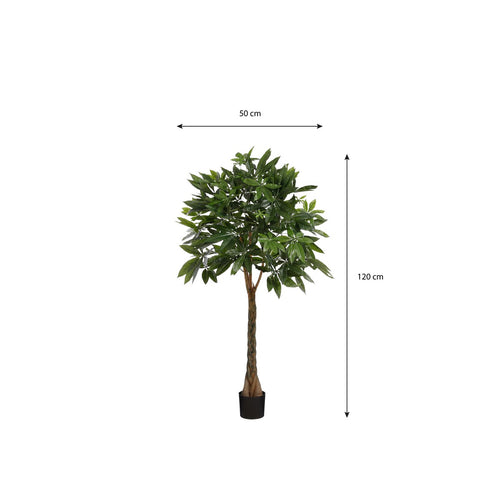 Mica Decorations Pachira Kunstplant - H120 x Ø50 cm - Groen