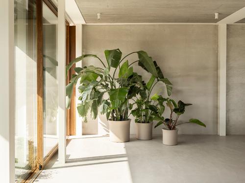 elho june tulip 47 balanced beige | Bloempot |Premium statementdesign