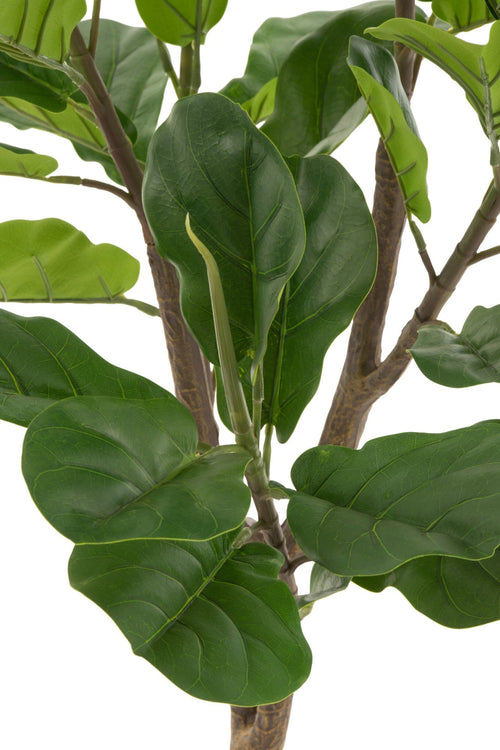 J-Line Vioolbladplant - kunststof - groen