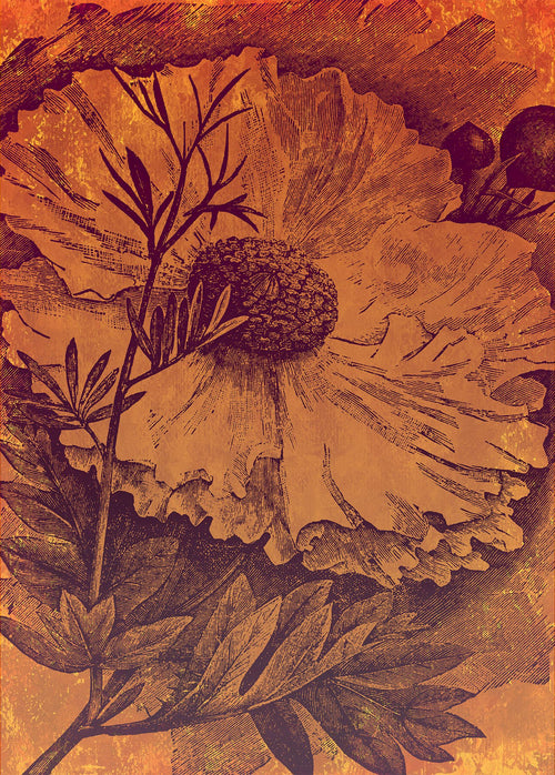 Sanders & Sanders fotobehang bloemen warm oranje - 200 x 280 cm - 611978 - vtwonen shop