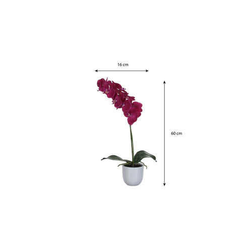 Mica Decorations Phalaenopsis Kunstplant in Bloempot Tusca - H60 x Ø16 cm - Paars