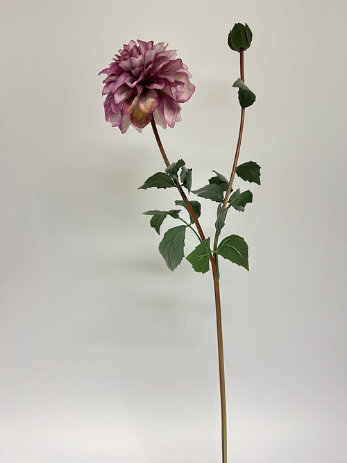 My Flowers.shop Roze dahlia zijden bloem | Lengte  75 centimeter | Per stuk - vtwonen shop