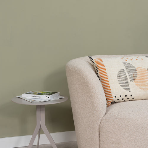 Spinder x Eva van de Ven 2,5L matte muurverf - Ross