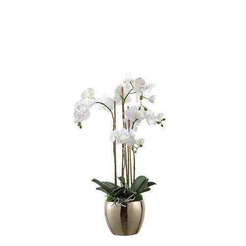 Sia Deco Orchidee Compositie Met Vaas - wit - goud - H69 - vtwonen shop