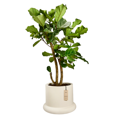 elho lana 56 linnen wit | Bloempot | Trendgericht premium statementdesign