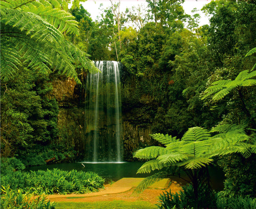 Sanders & Sanders fotobehang waterval groen - 375 x 270 cm - 600460