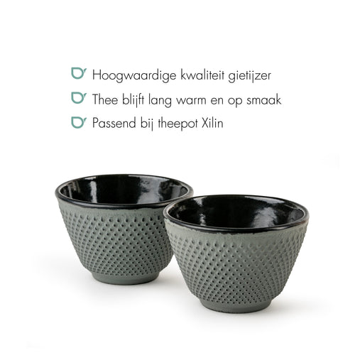 Bredemeijer - Kopjes Xilin gietijzer lichtgroen s/2 100ml